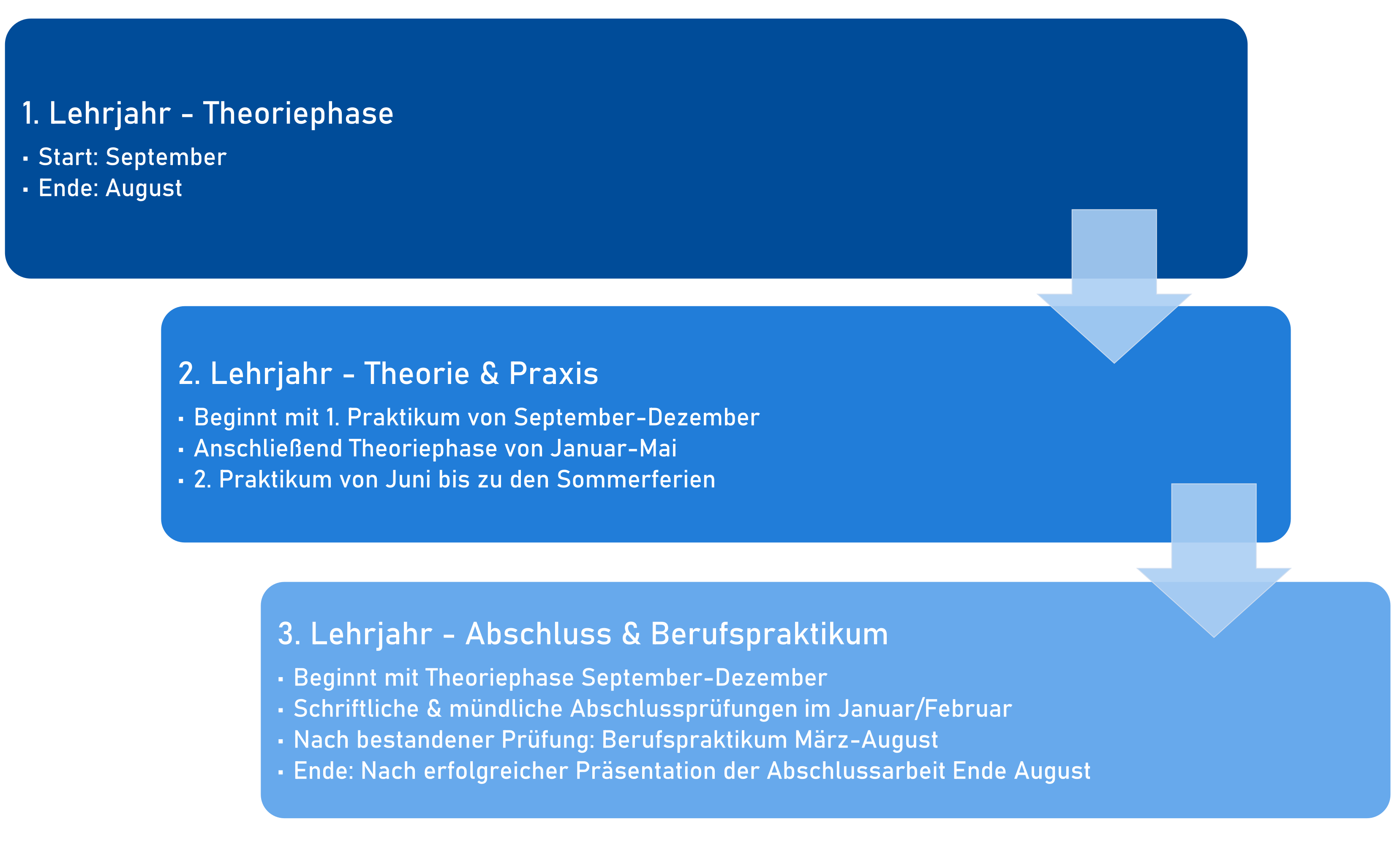 Grafik über den Ausbildungsverlauf der drei Jahre: 1. Lehrjahr - Theoriephase, Start: September, Ende: August; 2. Lehrjahr - Theorie & Praxis: Beginn 1. Praktikum September bis Dezember, anschließend Theoriephase Januar bis Mai, 2. Praktikum von Juni bis Sommerferien; 3. Lehrjahr - Abschluss & Berufspraktikum: Theoriephase September-Dezember, Abschlussprüfungen Januar/Februar, nach bestandener Prüfung Berufspraktikum März bis August, nach erfolgreicher Präsentation der Abschlussarbeit Ende der Ausbildung Ende August
